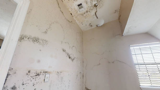 Best Mold Remediation for Healthcare Facilities  in Chualar, CA