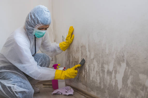 Best Residential Mold Inspection & Testing  in Chualar, CA