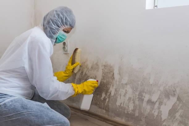 Best Asbestos and Lead Testing During Mold Inspection  in Chualar, CA