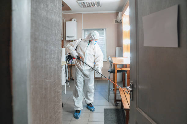 Best Real Estate Mold Inspection  in Chualar, CA