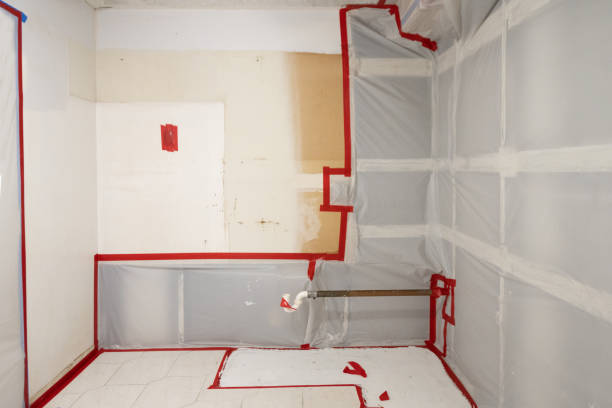Mold Documentation for Insurance Claims in Chualar, CA