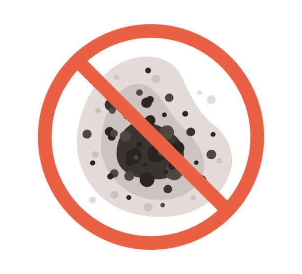 Best Forensic Mold Investigation  in Chualar, CA