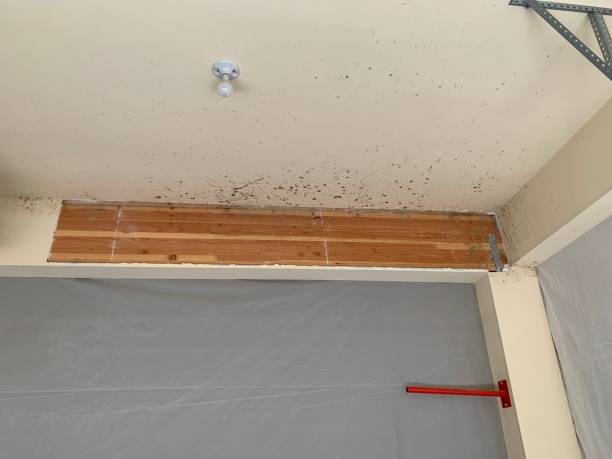 Best Post-Remediation Verification Testing  in Chualar, CA