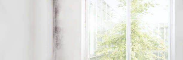 Forensic Mold Investigation in Chualar, CA