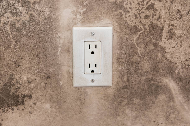 Best Basement Mold Removal  in Chualar, CA