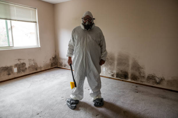Best Mold Odor Removal Services  in Chualar, CA