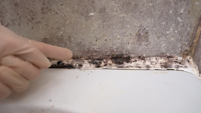 Best Environmental Consulting for Mold Prevention  in Chualar, CA