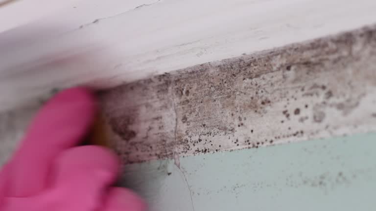 Best Dehumidification Services  in Chualar, CA